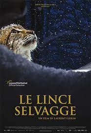 Le linci selvagge  2024